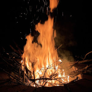 Meet your Posher, Nadia